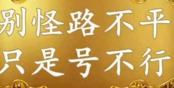 最贵的靓号之一：司法拍卖靓号万人围观，280余万成交